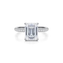  Emerald Cut Moissanite Hidden Halo Ring 