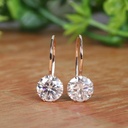 Round Cut Stone Drop Dangle Hoop Earring For Women