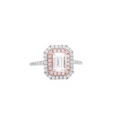 Emerald Cut Diamond Double Halo Engagement Ring for Women