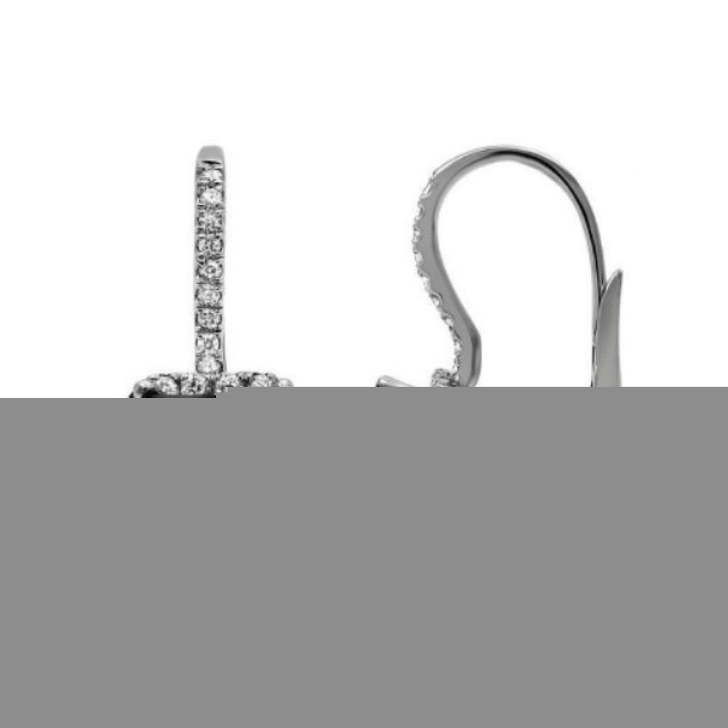  Princess And Round Cut Halo Black And White Diamond Dangle Earring For Women