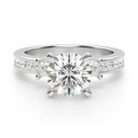  Round And Princess Cut Channel Set And Prong  Engagement Ring For Women