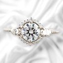 Round Cut Diamond 3 Stone Halo Gift Ring for Women 