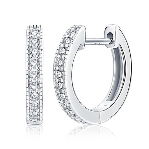 Hoop Earring for Women