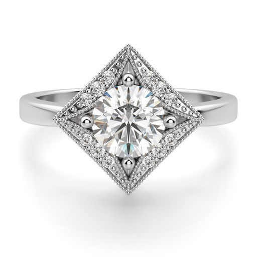 Round Cut Diamond Princess Frame  Halo Engagement Ring For Women