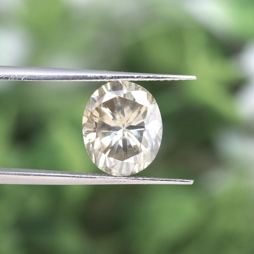 Loose Moissanite  Salt & Pepper Off White Clean Oval Cut 10.50 x 8.50 MM